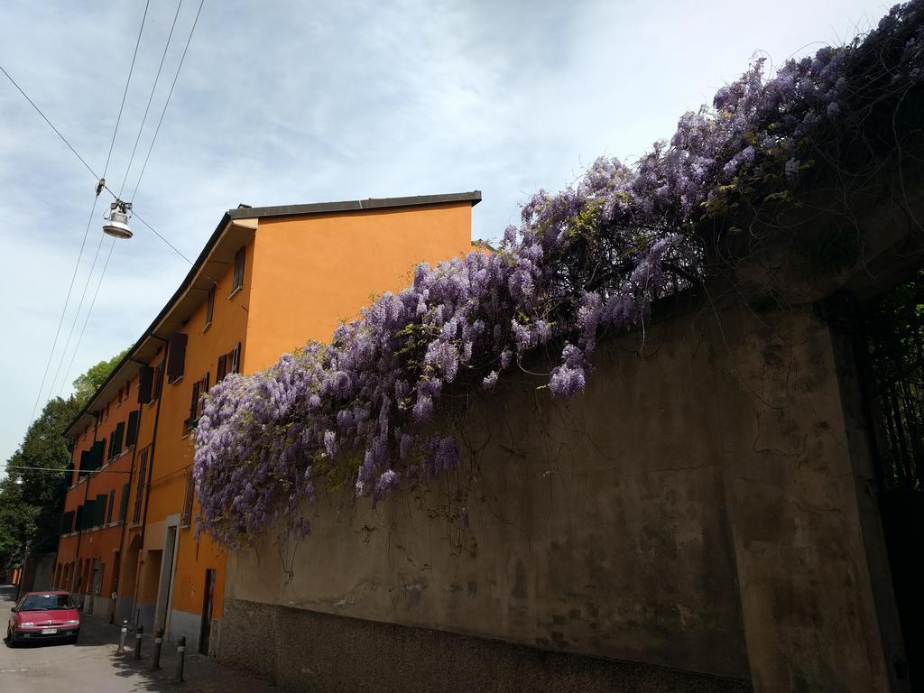 Malgrado House Bologna - Villa Nigrisoli - Sant'Orsola Buitenkant foto